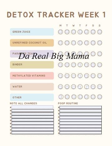 Daily Tracking Journal created to help parents record changes while detoxing, deworming and giving supplements to children with autism